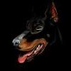 -^DobermaN^-